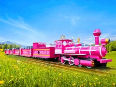  郑州销量排名前十的迷你型蒸汽小火车